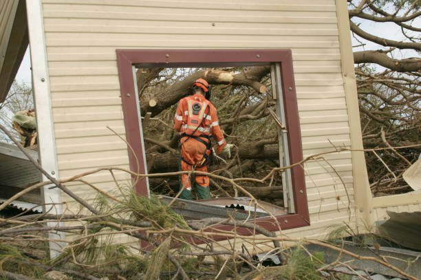 Best Tree Trimming and Pruning  in Dillon, CO